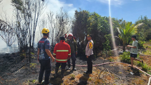2 Hektare Lahan di Kampar Nyaris Ludes, 32 Personel Gabungan Turun Tangan Jinakkan Api
