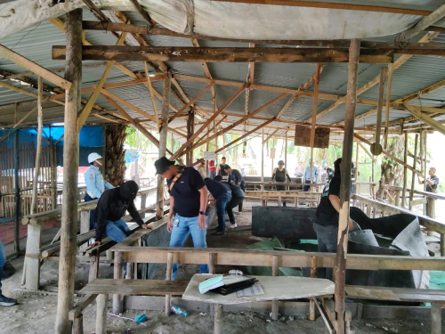 Polisi Bongkar Arena Judi Sabung Ayam 'Bupati Arena' di Kampar