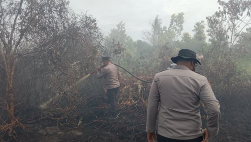 Cegah Karhutla Susulan, Kapolres Kampar Turun Langsung 'Basahi' Lahan Gambut Rimbo Panjang